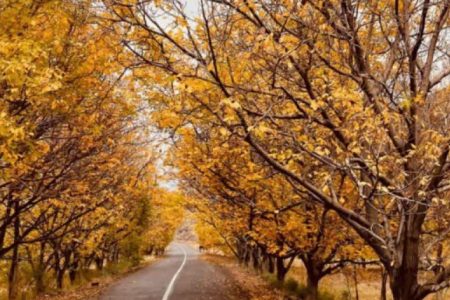 روستای بیدخوان بردسیر به روایت پاییز
