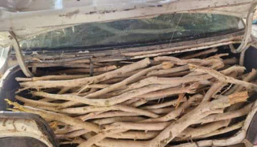 توقیف خودروی حامل چوب قاچاق تاغ در رفسنجان