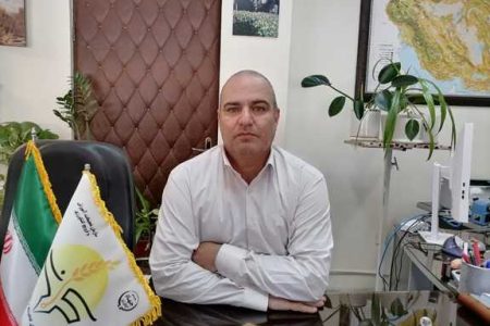 مگس میوه مدیترانهای آفتی با تولید ۱۲ نسل مگس میوه مدیترانهای آفتی با تولید ۱۲ نسل