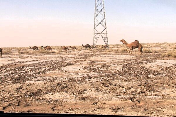 جازموریان کویر شد؛ ریزگردها جنوب کرمان را فرا گرفت