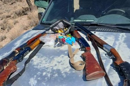 ۴ شکارچی غیرمجاز در سیرجان دستگیر شدند