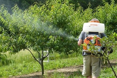 آغاز نبرد بیولوژیک، سم‌پاشی علیه «کرم به» ممنوع