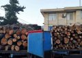 کشف ۲۵ تن چوب جنگلی قاچاق در رودبار جنوب