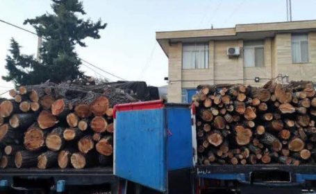 کشف ۲۵ تن چوب جنگلی قاچاق در رودبار جنوب