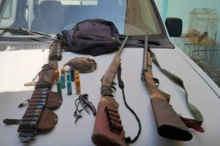 دستگیری شکارچی پرندگان وحشی در رودبار جنوب