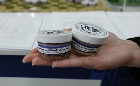 نانوژل گیاهی، مرزهای درمان پوستی را درمی‌نوردد!