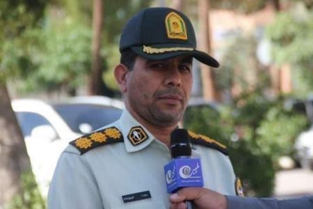 دستگیری عامل آتش‌سوزی عمدی باغات نراب جیرفت