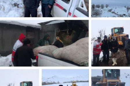 عملیات نجات موفقیت‌آمیز عشایر در شمال استان کرمان