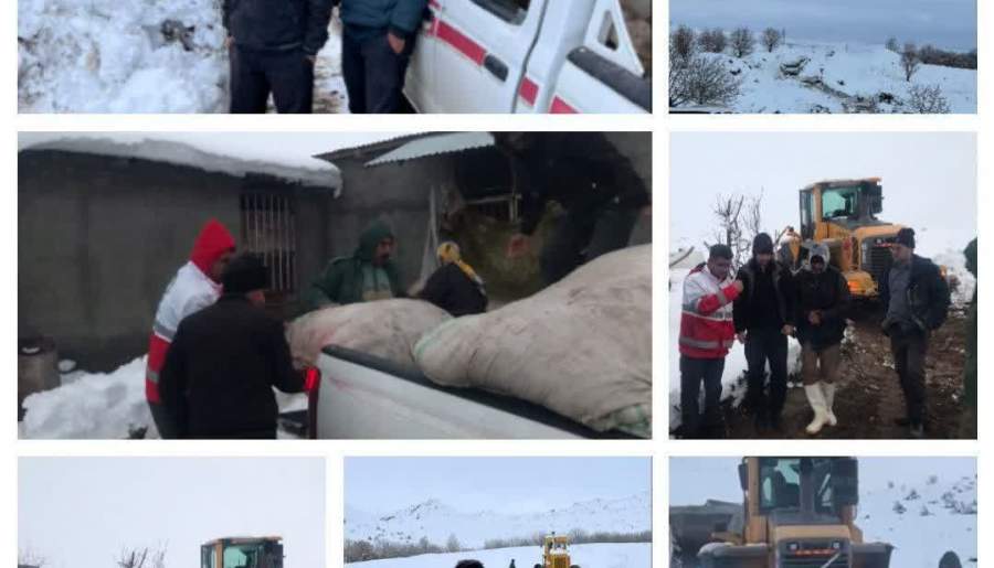 عملیات نجات موفقیت‌آمیز عشایر در شمال استان کرمان