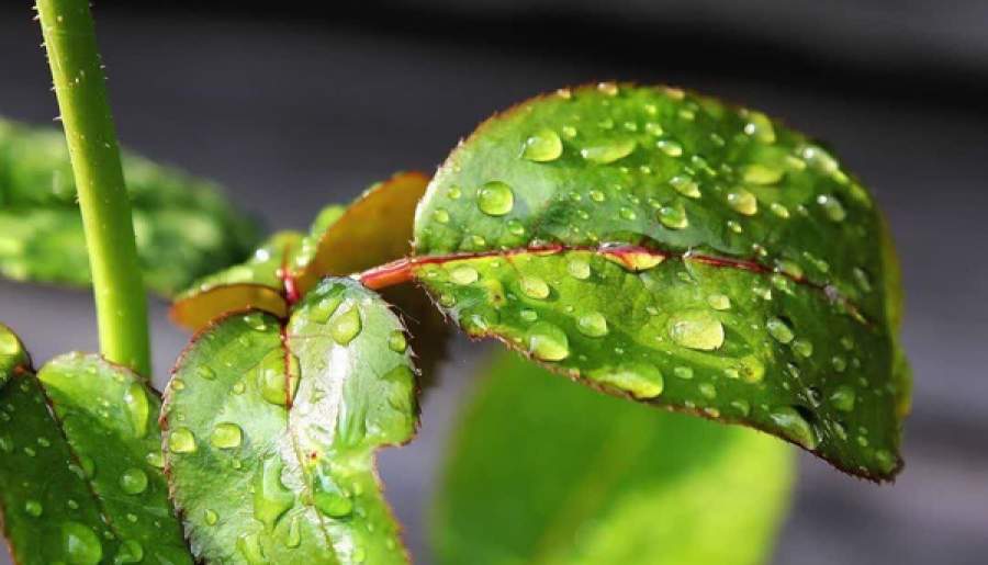 فعال‌شدن سامانه بارشی جدید از فردا در کرمان