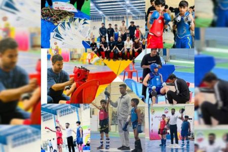 درخشش ووشوکاران قلعه‌گنج در بندرعباس