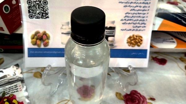 داستان تولد «زیستالکل» در رفسنجان