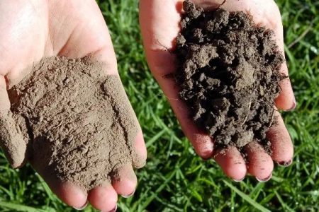 سرمایه‌گذاری بر خاک، سرمایه‌گذاری بر آینده شهرهاست