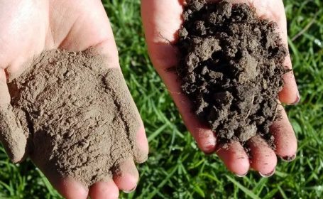 سرمایه‌گذاری بر خاک، سرمایه‌گذاری بر آینده شهرهاست