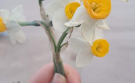 ویژگی‌های یاران امام زمان (عج)