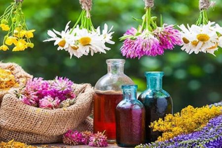 افزایش‌۵۶۰ هکتاری سطح زیرکشت گیاهان دارویی