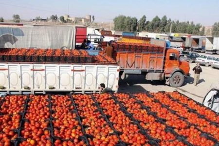 ممنوعیت واردات گوجه‌فرنگی به کردستان عراق